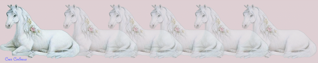 Chevaux 